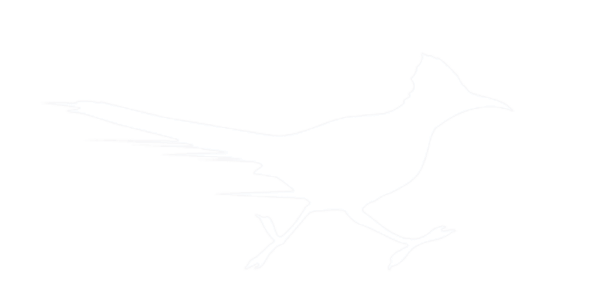 Jifu